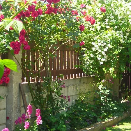 Elida Gæstehus Shabla