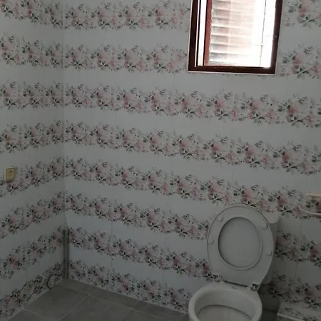 Pensiune Elida Şabla