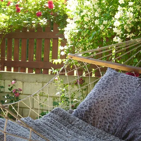 Pensiune Elida Şabla