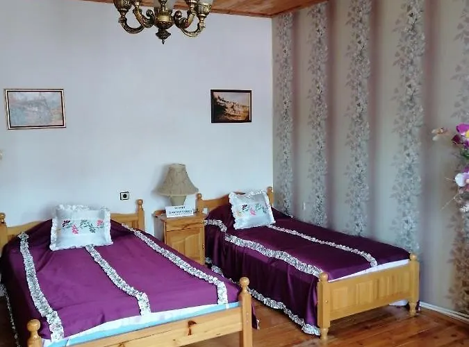 елида Къща за гости 2*