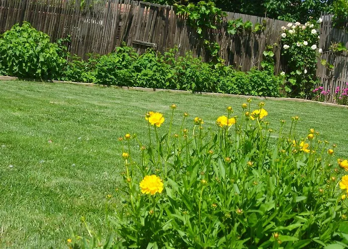 елида 2* Шабла