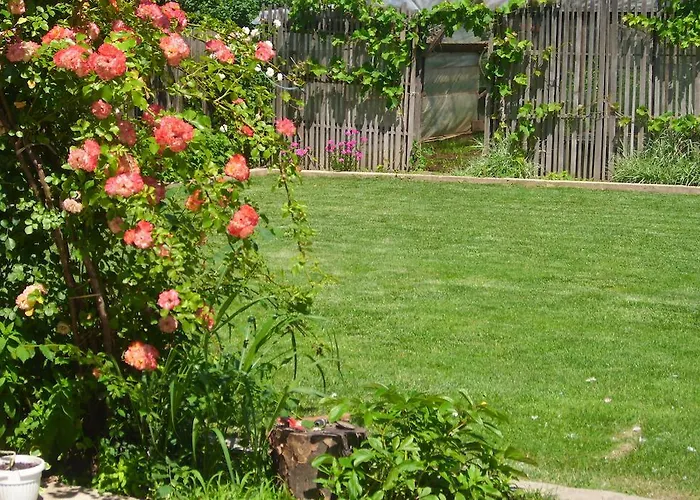 елида Шабла