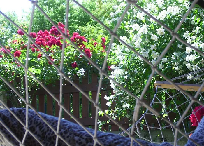 Къща за гости елида 2*