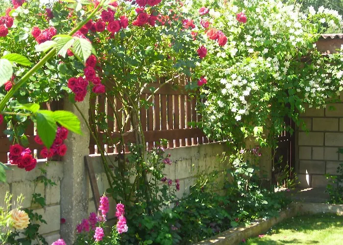 елида Къща за гости Шабла