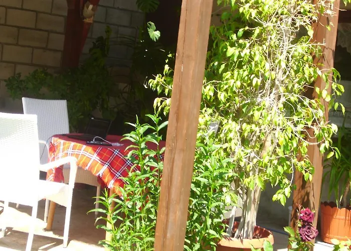 елида Шабла