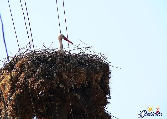 Къща за гости елида 2*